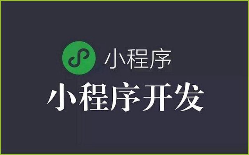 上海软件开发公司：技术与创新的双翼
